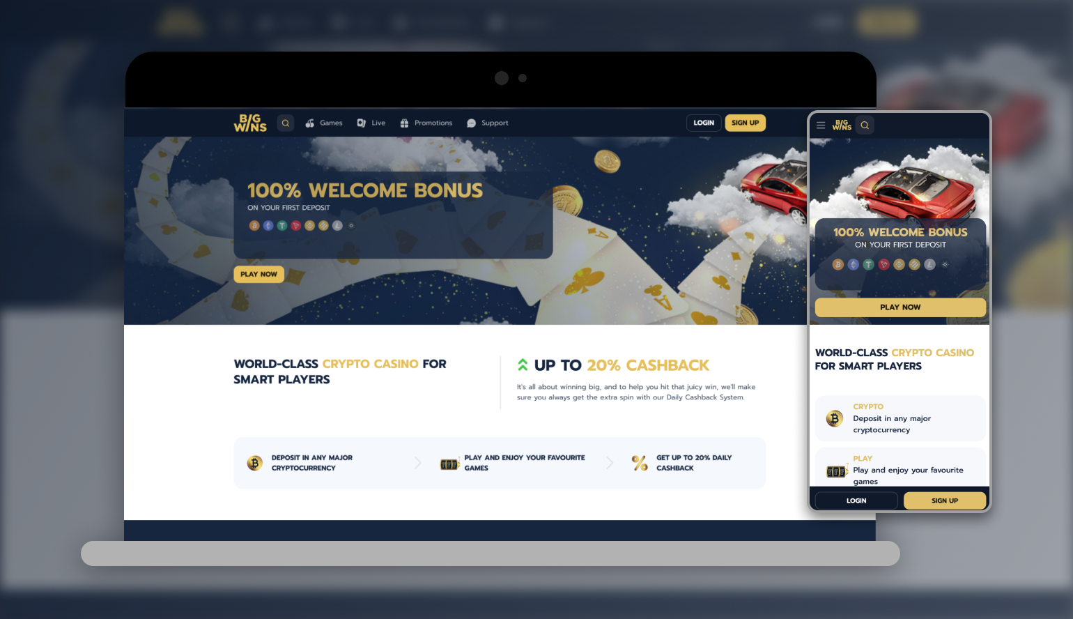 Bigwin Online Casino Review